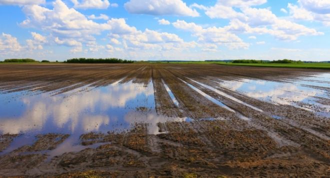 Importante na economia, agronegócio sofre com riscos incontroláveis