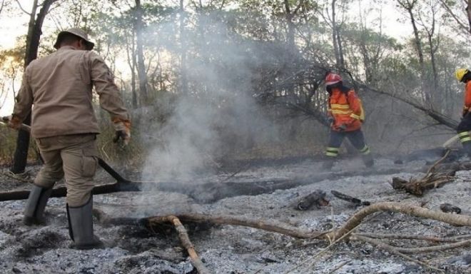 Corpo de Bombeiros alerta para prevenção de queimadas 