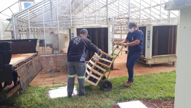 Secretaria de Agricultura entrega mudas de maracujá a prefeitura