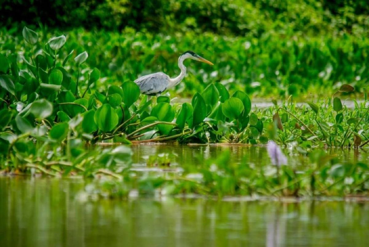 Prefeitura promove concursos de desenho e fotografia