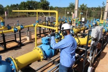 Meio ambiente: G&aacute;s Natural &eacute; solu&ccedil;&atilde;o vi&aacute;vel e positiva para conserva&ccedil;&atilde;o 