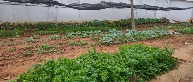 Presídio de Jardim contribui no cultivo de horta em creche