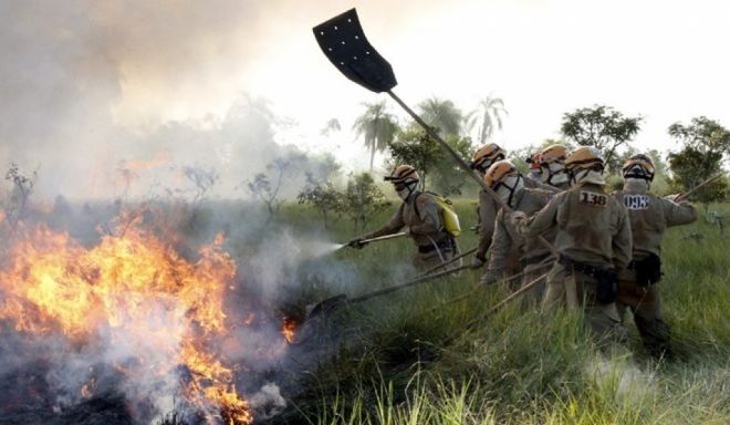 Mato Grosso do Sul entra em estado de emergência ambiental