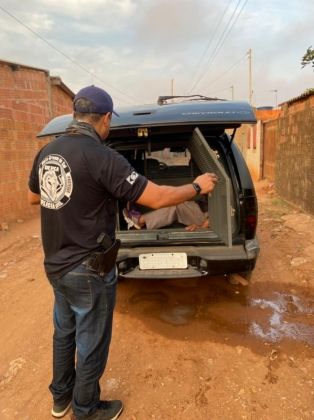 Operação acalento teve 76 pessoas presas em Mato Grosso do Sul 