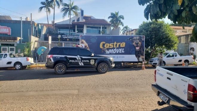 Decat promove castra&ccedil;&atilde;o de c&atilde;es resgatados 