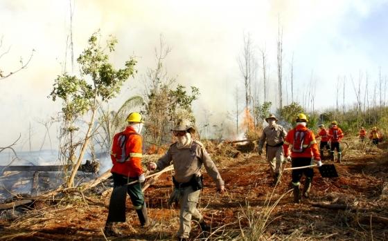 Focos de incêndio no Pantanal 