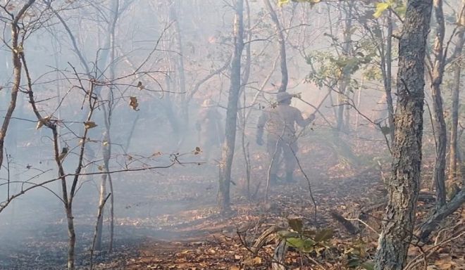 Imasul suspende ‘queima controlada’ no Pantanal até 30 de outubro