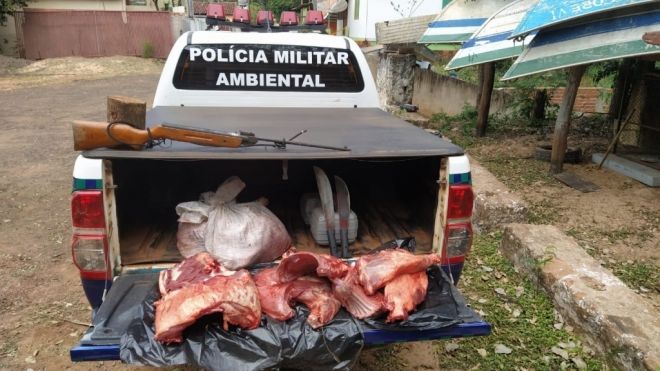 Caçadores são presos por abate de porco silvestre 