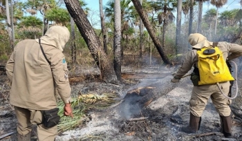 Operação Hefesto amplia o combate a incêndios no Pantanal
