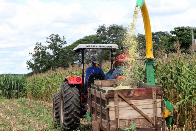 Projeto Rural Sustentável fomenta a agricultura consciente em MS