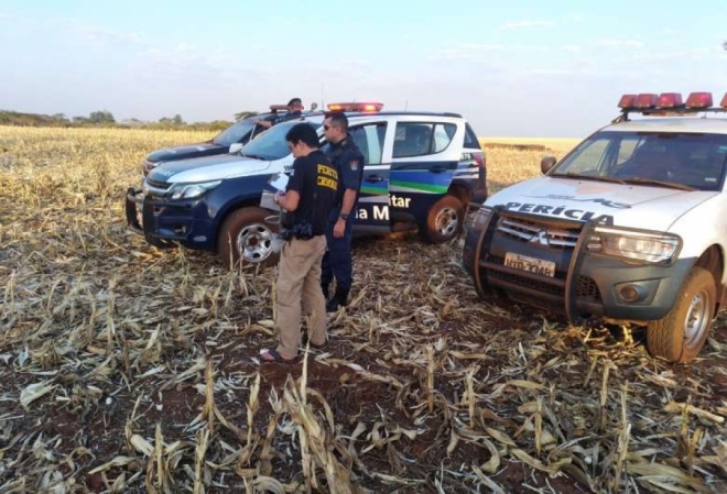 Corpo em estado de decomposição é encontrado em milharal 