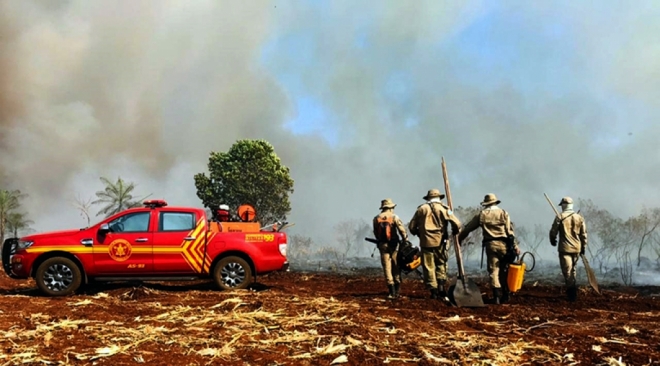 Plano estratégico reduz incêndios no Pantanal em 86% 