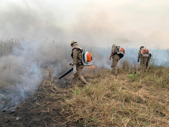 Chuvas do fim de semana eliminam focos de incêndio no Pantanal 