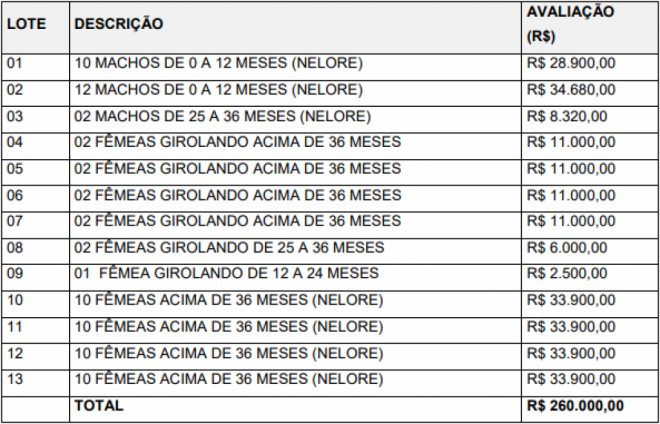 Bovinos da raça Nelore e Girolando serão leiloados em MS