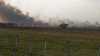 Chuva reduziu a três incêndios no Pantanal