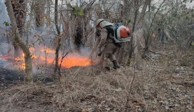 Chuva reduziu a três incêndios no Pantanal
