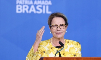 Tereza Cristina