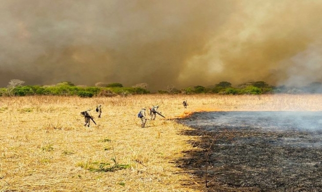 Situação climática intensifica combate aos incêndios no Pantanal 