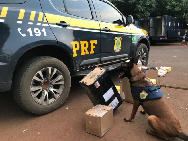 PRF e Correios deflagram operação contra tráfico de drogas 