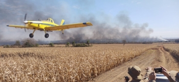 Mais de três mil focos de calor foram controlados no Pantanal