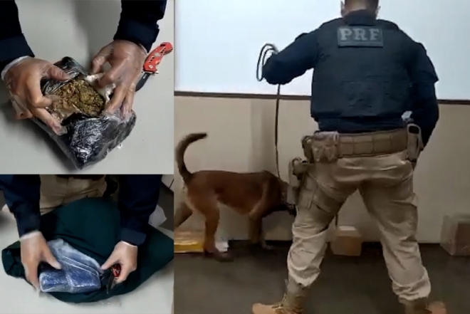 Encomendas com maconha é interceptado na Capital