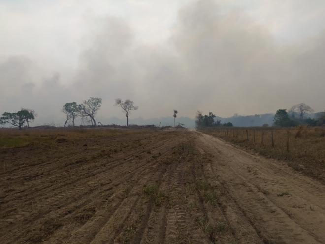 Polícia Ambiental autua empreiteiro em R$ 15 mil por incendiar área de fazenda no Pantanal 