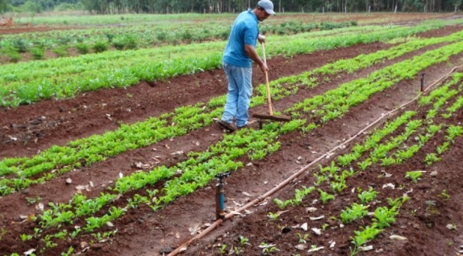 Governo beneficia 70 mil famílias de pequenos agricultores