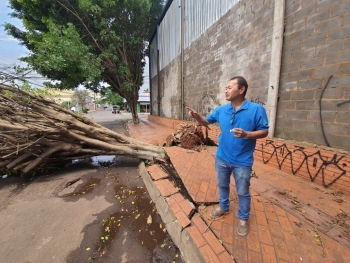 Tempestade deixa bairros sem luz e árvores caídas na Capital