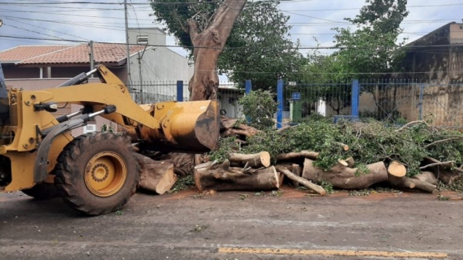 Sisep monta força tarefa para remoção de troncos e galhos de árvores
