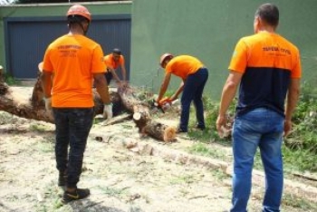 Prefeitura libera ruas obstruídas por árvores e reativa semáforos após vendaval