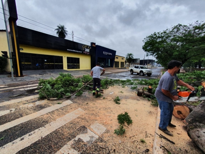 Chuvas, granizo e ventania deixa rastro de destrui&ccedil;&atilde;o em Mato Grosso do Sul 