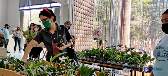 Orquidário Santa Ana realiza feira de orquídeas em Três Lagoas
