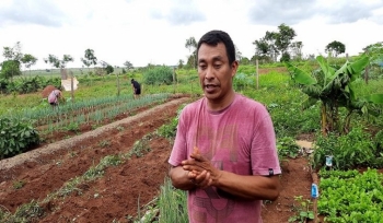 Programa de Aquisição de Alimentos transforma indígenas em pequenos agricultores