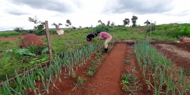 Programa de Aquisição de Alimentos transforma indígenas em pequenos agricultores