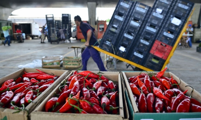 Mapa: 89% dos vegetais comercializados s&atilde;o seguros para consumo