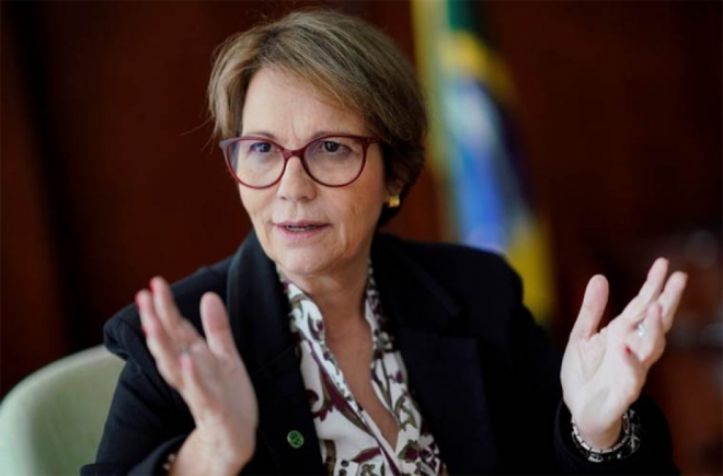 ColunaMarcoEusébio