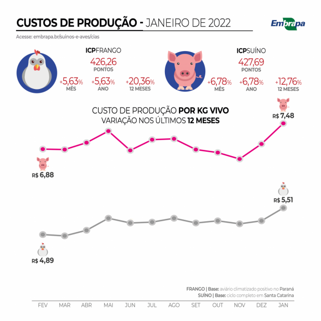 Custos de produção de suínos e de frangos de corte inicia 2022 em alta 