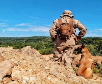 Bombeiros de MS enviam cães para ajudar no resgate de vítimas em Petrópolis