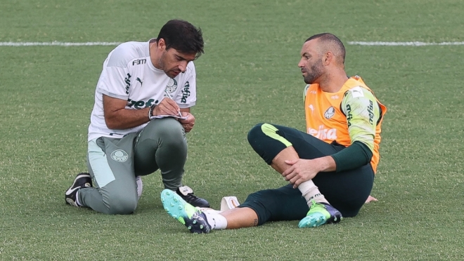 Palmeiras