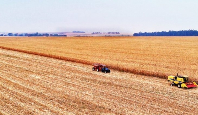 MS apresenta crescimento de 17,85% no Valor Bruto da Produção Agropecuária