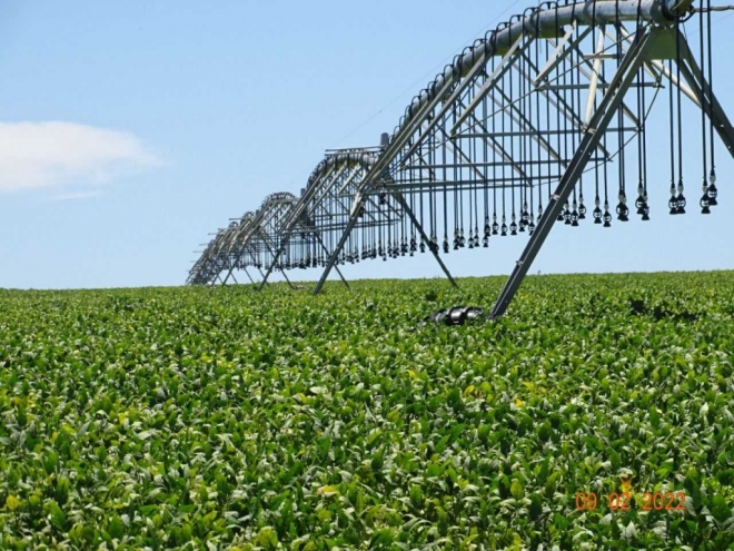 Valor Bruto Produção Agropecuária cresceu 17,85% no Estado 