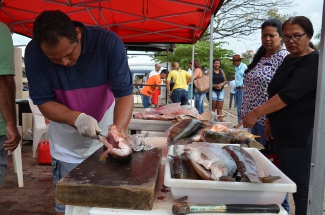 Mais uma edição da feira do peixe acontece em Três Lagoas
