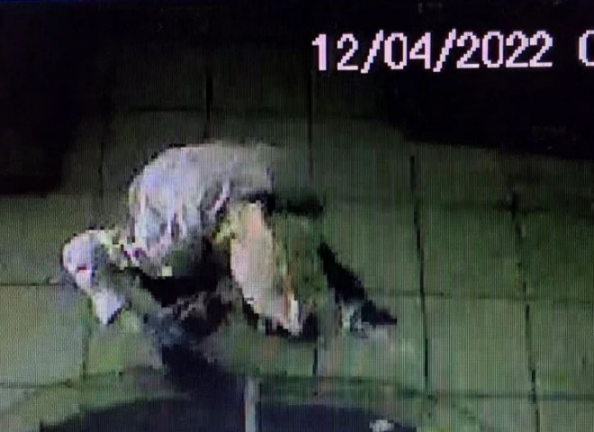 Trio acusado de furto é preso em MS 