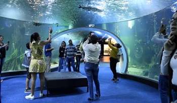 Bioparque pantanal abre agendamento para o m&ecirc;s de junho