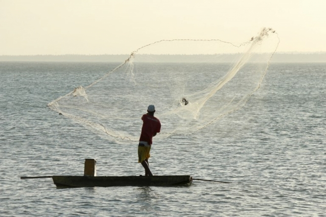 Mapa suspende quase 13 mil licenças de pescadores profissionais