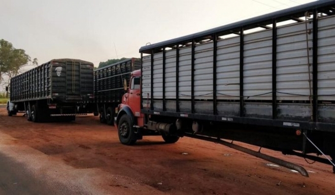 Obrigatoriedade do uso do aplicativo de transporte de animais é suspensa 