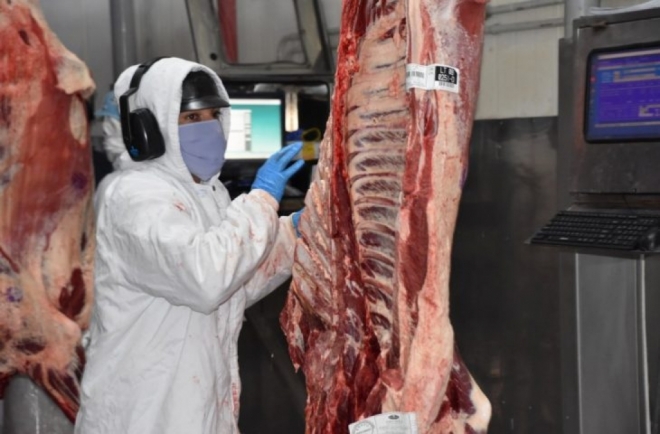 Exportação de carne cresceu 47% em MS na primeira metade do ano