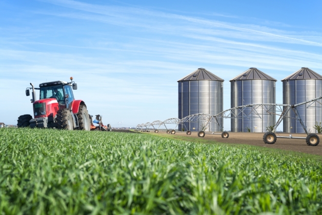 Safra recorde de grãos é oportunidade para Brasil ampliar participação no mercado agrícola internacional, avaliam especialistas