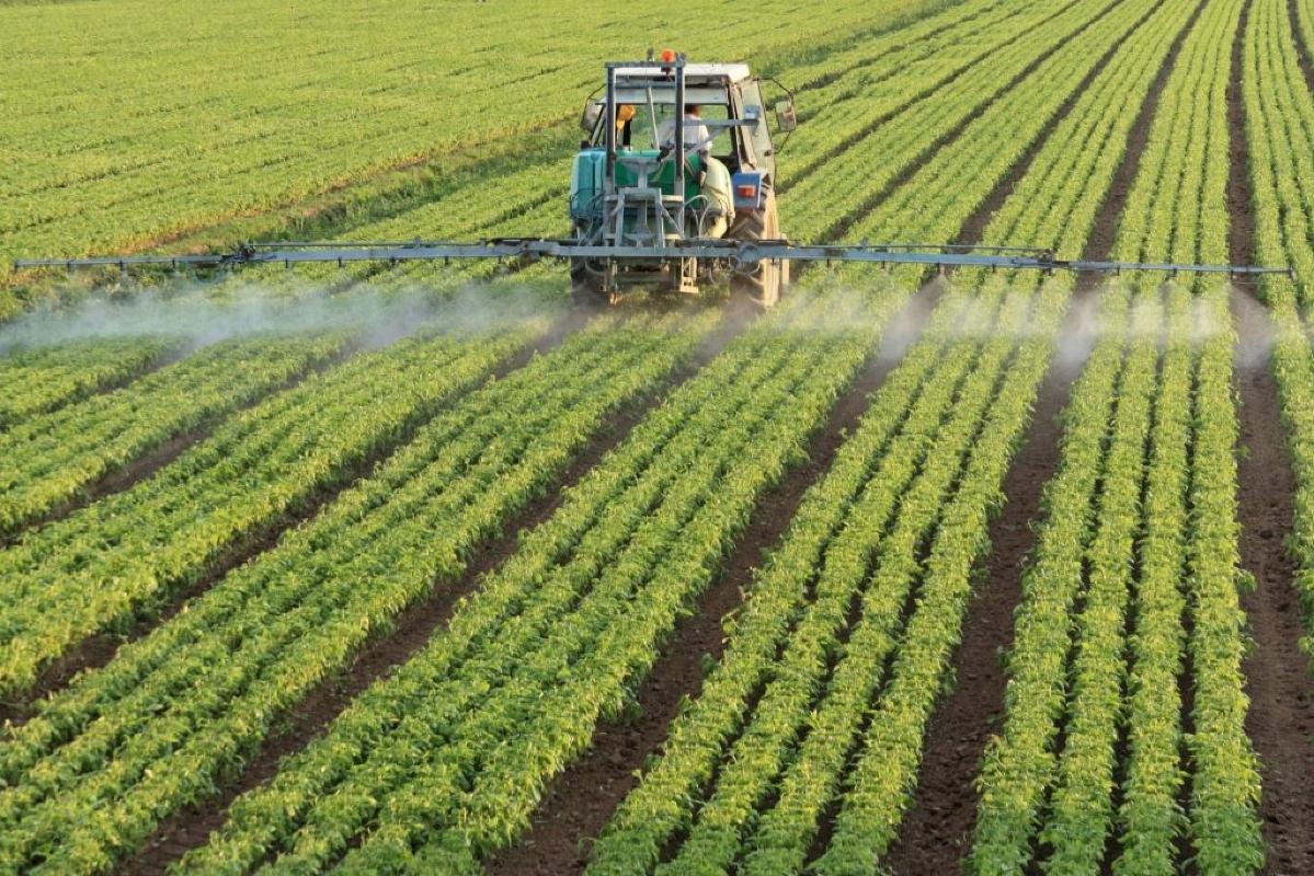  Fertilizantes 