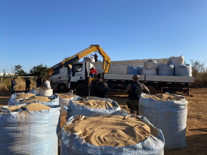 Polícia recupera 41 toneladas de soja roubadas após prender quadrilha